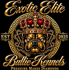 Exotic Elite Bullie Kennels