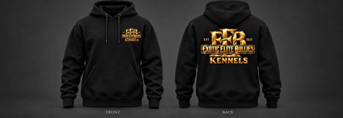 EEB Gold Logo Hoodie