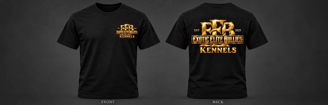 EEB Gold Logo T-Shirt